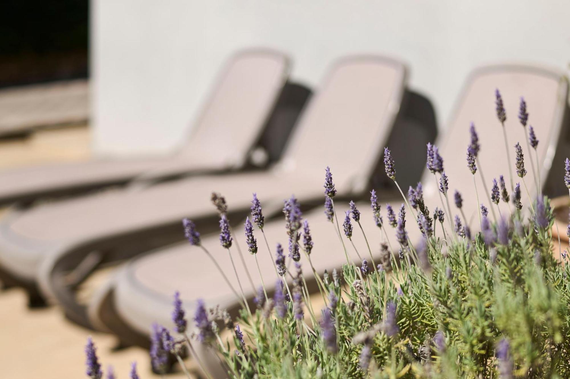 Apartment Martello Forest View Porec Bagian luar foto